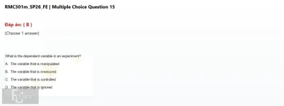 Q_048.webp