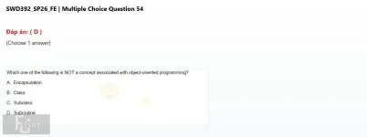 SWD392 SP26 FE_001.webp