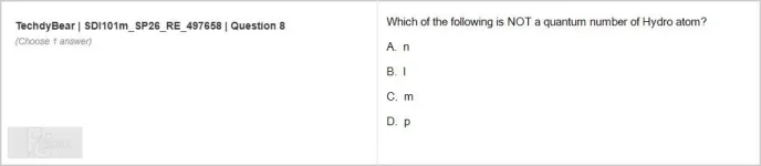SDI101m SP26 FE RE_008.webp