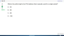 NWC204 SP26 FE_016.webp