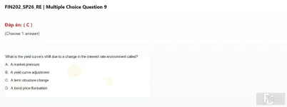 FIN202 SP26 FE RE_009.webp