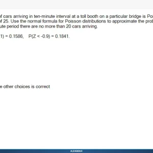 MAS291 SP26 FE RE_028.webp