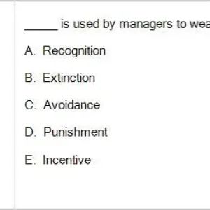 MGT103 SP26 B5 FE_009.webp