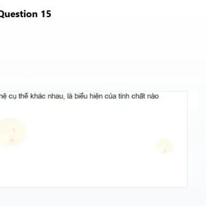 MLN111 SP26 B5 FE_15.webp