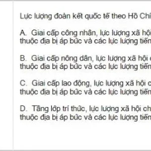 HCM202 SP26 B5 FE_033.webp