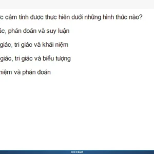 MLN111 SP26 B5 FE RE_006.webp
