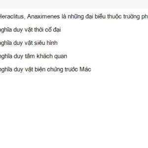 MLN111 SU26 FE_004.webp