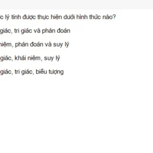 MLN111 SU26 FE_024.webp