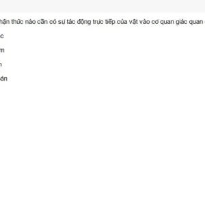 MLN111 SU26 C2FE_028.webp
