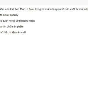 MLN111 SU26 C2FE_033.webp
