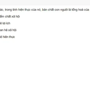 MLN111 SU26 C2FE_055.webp