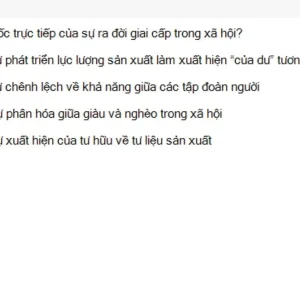 MLN111 SU26 C2FE_056.webp