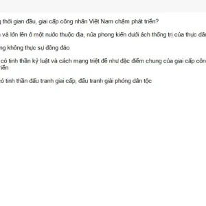 Media 'MLN131 SU26 FE_001.webp' in category 'MLN131'
