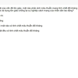 Media 'MLN131 SU26 FE_031.webp' in category 'MLN131'