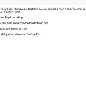 Media 'MLN131 SU26 FE_048.webp' in category 'MLN131'