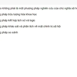 MLN131 SU26 FE RE_002.webp