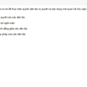 MLN131 SU26 FE RE_039.webp