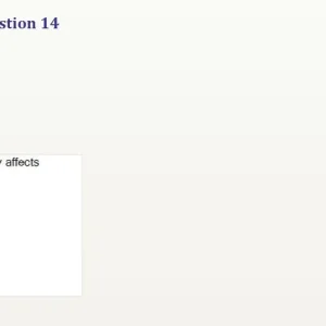 FIN201 SU26 FE_014.webp