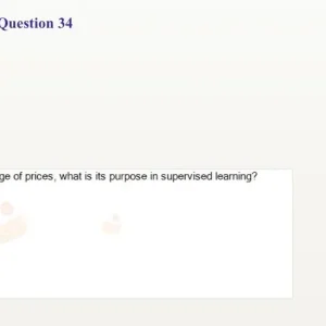 AIE301m SU26 FE_034.webp