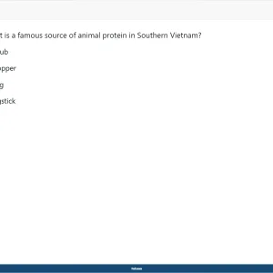 vnc104_su26_fe_22.webp