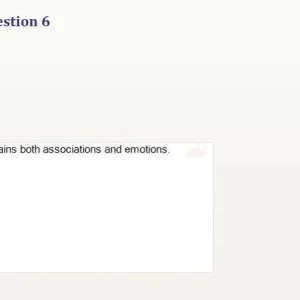 CAA201 SU26 FE_047.webp