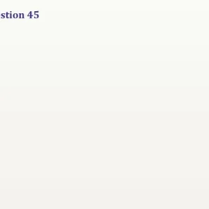 ISM201 SU26 FE_045.webp