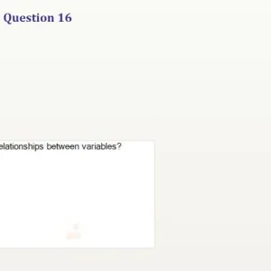DAP391m SU26 FE_003.webp