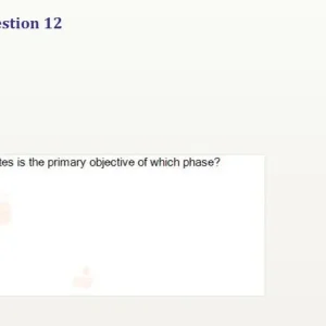 BPS301 SU26 FE_012.webp