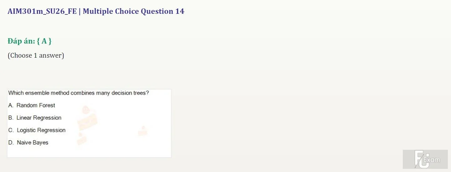 AIM301m SU26 FE_030.webp