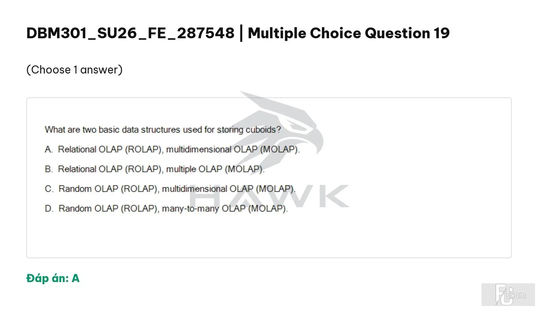DBM301 SU26 FE_019.webp