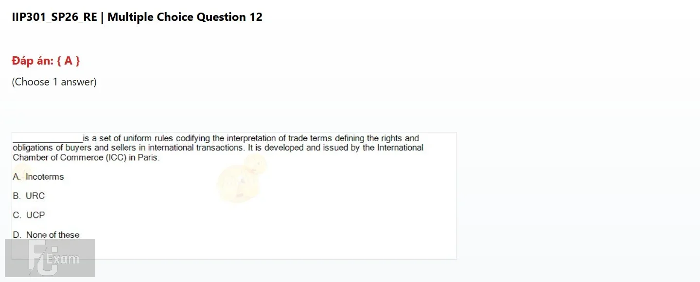 IIP301 SP26 FE RE_012.webp