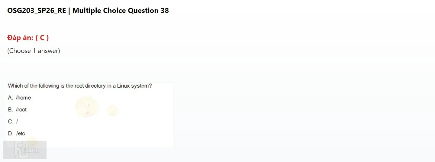 OSG203 SP26 FE RE_38.webp